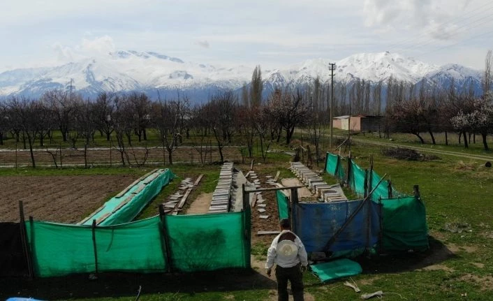 (Özel) Erzincan’da kıştan çıkan bal arıları açan çiçeklerle buluştu