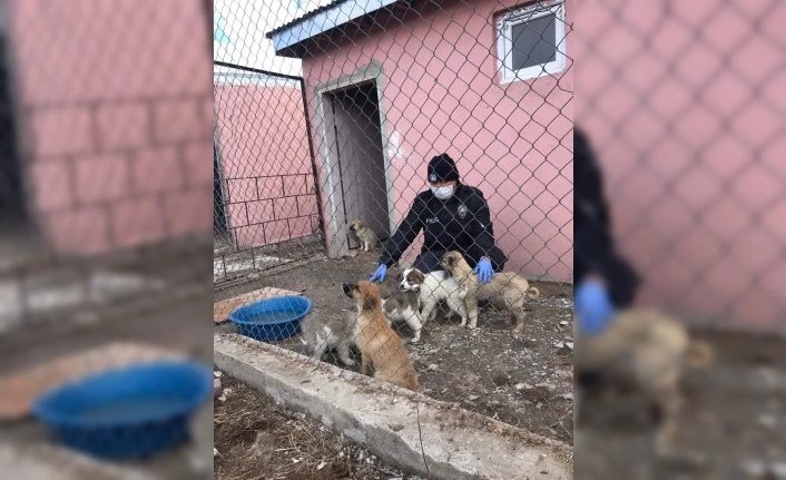 Polisler, 4 Nisan Dünya Sokak Hayvanları Günü’nü unutmadı