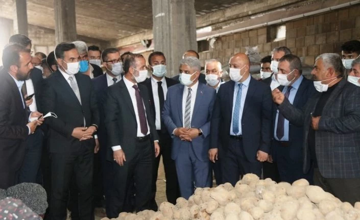 TMO’nun patates alımı Ahlat çiftçisine can suyu oldu