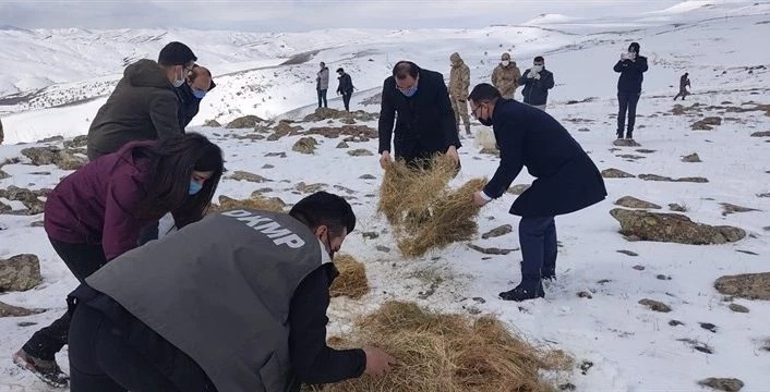 Yaban hayvanları için yemleme çalışması sürüyor