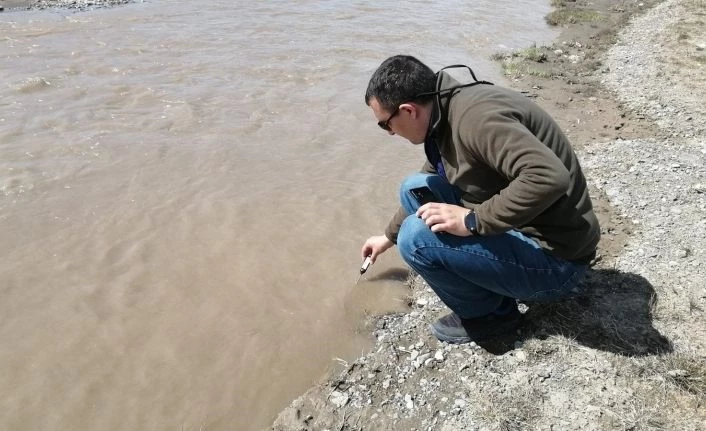 Yükselen su seviyesi inci kefali göçüne umut oldu