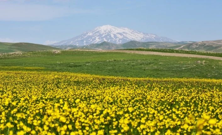 Ahlat’ta renk cümbüşü