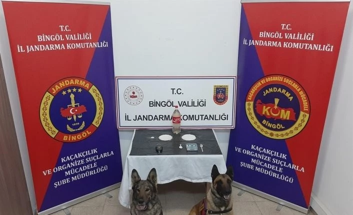 Bingöl’de uyuşturucu operasyonu: 2 şüpheli tutuklandı