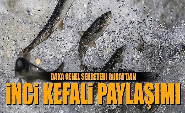 DAKA Genel Sekreteri Güray’dan inci kefali paylaşımı