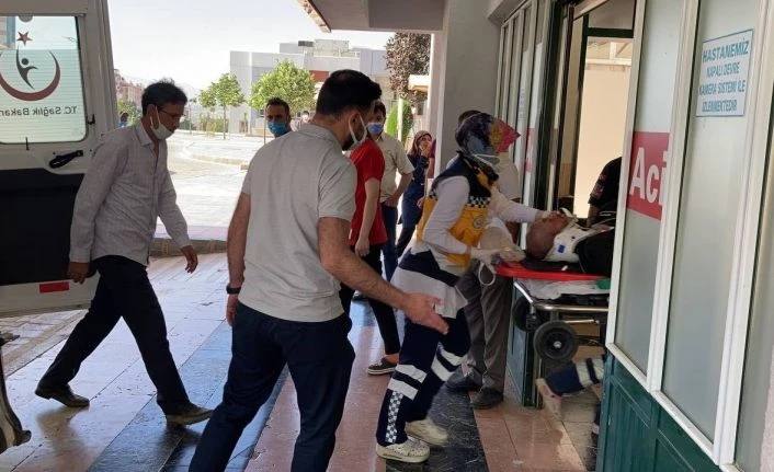 Dut ağacından düşen yaşlı adam hayatını kaybetti