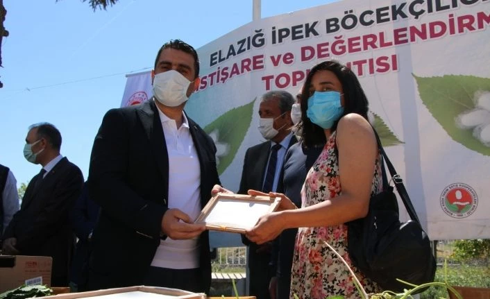 Elazığ’da ipek böcekçiliği yeniden canlanıyor