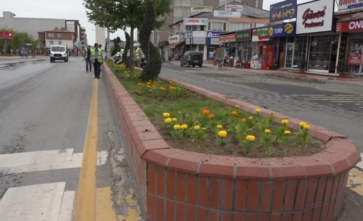 Erciş Caddeleri çiçeklerle süsleniyor