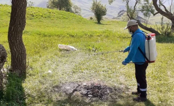 Hakkari’de keneyle mücadele çalışması