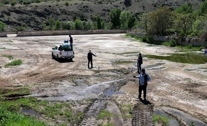 Hekimhan’da vektörel mücadelesi hız kesmiyor