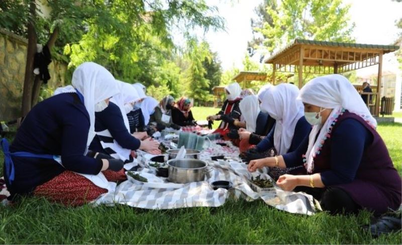 Kiraz yaprağı sarmasının satışı Türkiye’nin dört bir yanına yapılacak