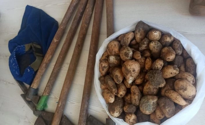 Kısıtlamayı ihlal edip, salep soğanı toplayan 5 kişi 419 bin 690 TL ceza yedi