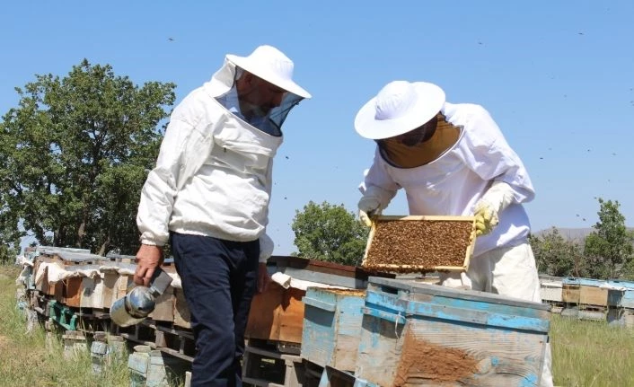 Kuraklık ve toz taşınımı arıcıları vurdu, son 10 yılın en kötü sezonu