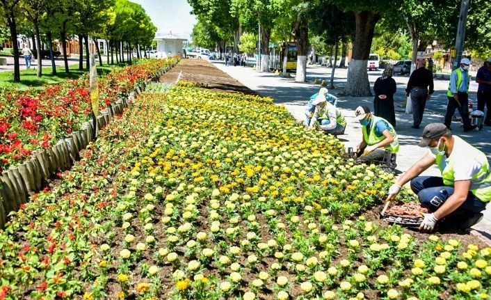 Malatya’da parklar çiçeklerle süsleniyor