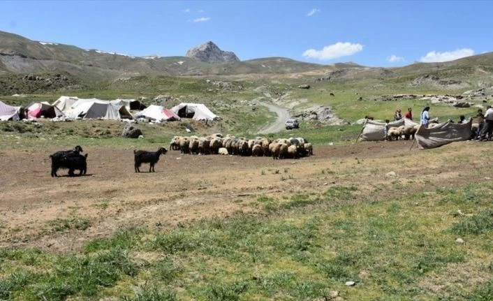 Muş ve Hakkari