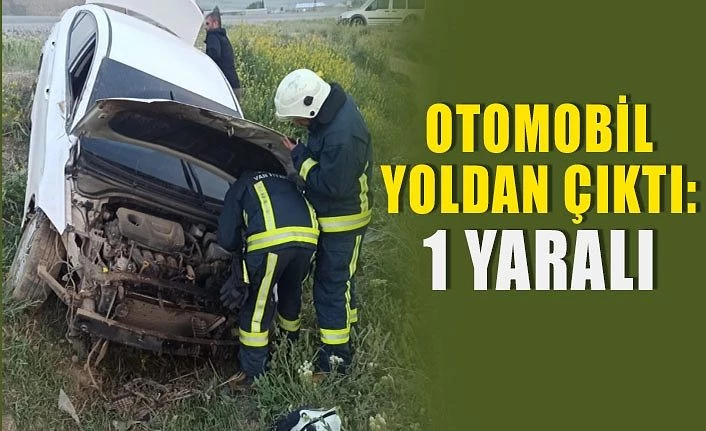 Van'da otomobil yoldan çıktı: 1 yaralı