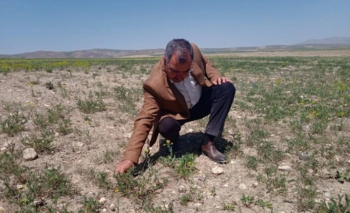 Özalp ilçesinde kuraklık endişesi