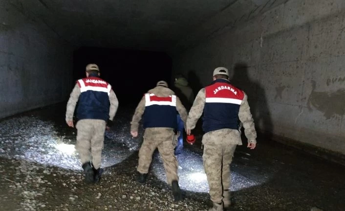 Van'da kaçak avlanılan 200 kilo canlı balıklar tekrar suya bırakıldı
