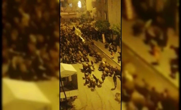 Sahur vakti çarşıdan geçen koyun sürüsü şaşırttı