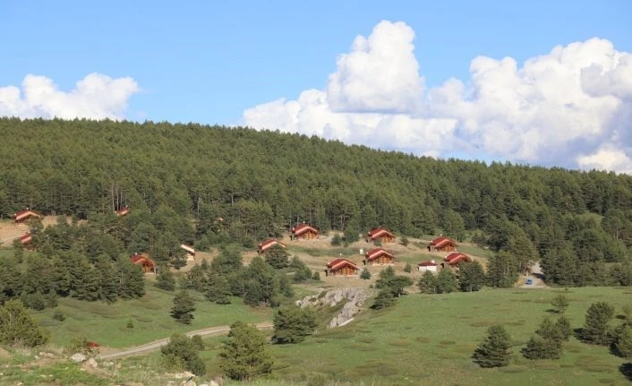 Vali Makas, Dumanlı Tabiat Parkında incelemelerde bulundu