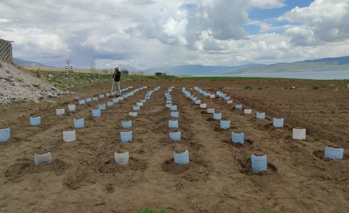 Vanlı çiftçi, 100 adet pet bidonla sera kurdu