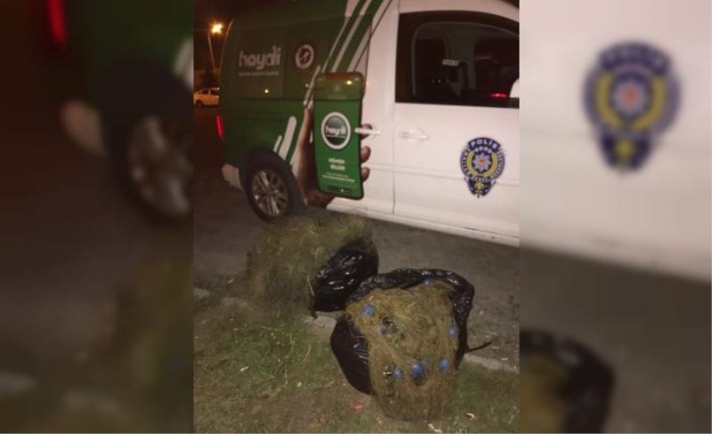 Kaçak avlanan balıklar nehre bırakıldı
