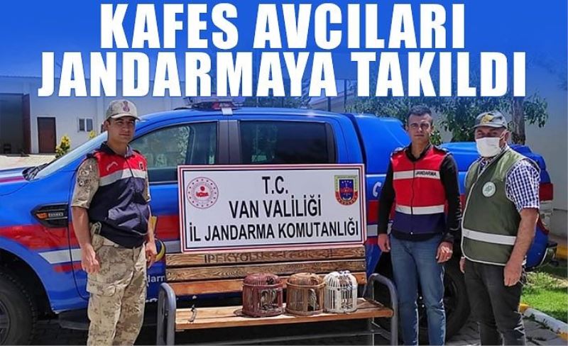 Kafes avcıları jandarmaya takıldı